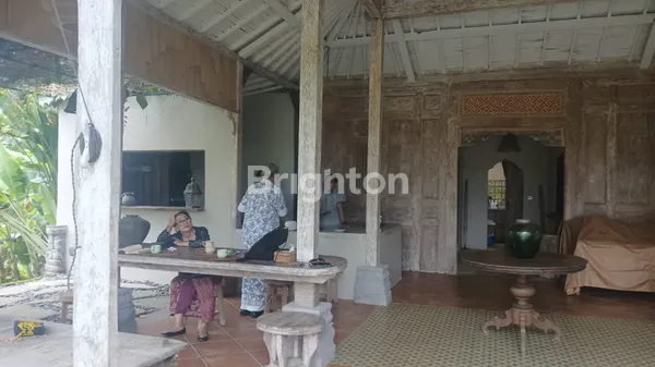 image VILLA 3 BEDROOM (6)