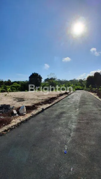 image TANAH ZONA KUNING 15 ARE - 5 MENIT KE PANTAI TANAH BARAK (8)