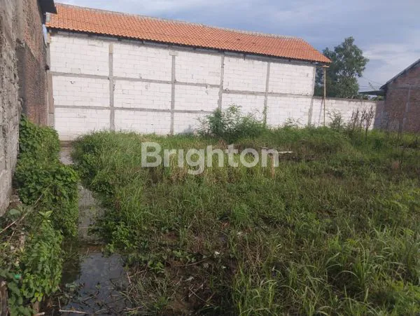 image TANAH SIAP BANGUN DI PUCANG GADING ATAS MRANGGEN DEMAK (4)