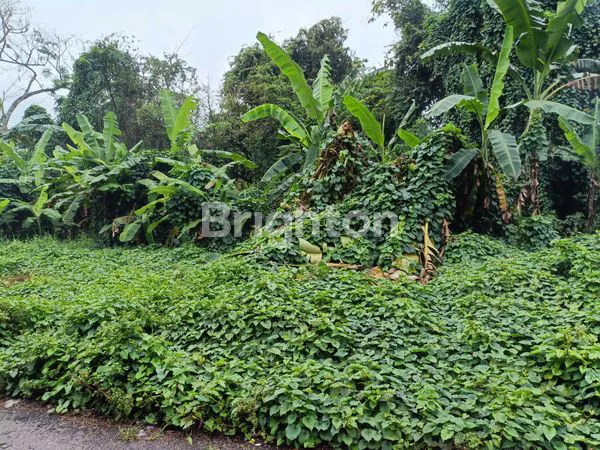 image TANAH STRATEGIS PEGUYANGAN DENPASAR 865M² (4)