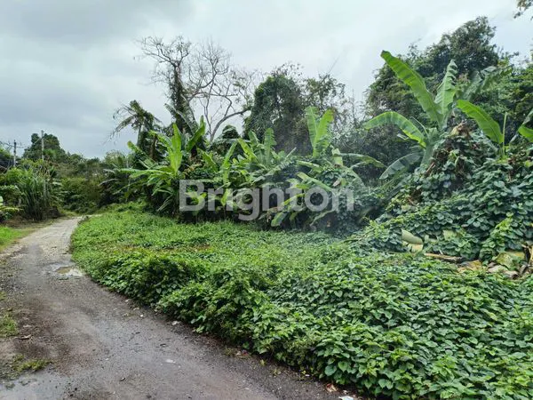 image TANAH STRATEGIS PEGUYANGAN DENPASAR 865M² (7)