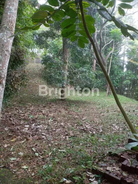 image 2 KAVLING TANAH DI DAGO BENGKOK MARIBAYA BANDUNG (3)