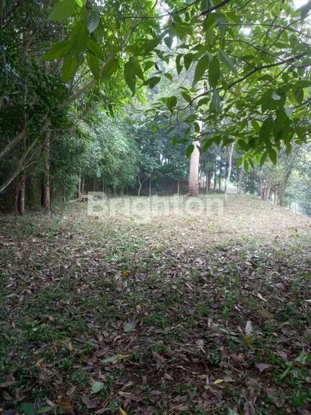 image 2 KAVLING TANAH DI DAGO BENGKOK MARIBAYA BANDUNG (4)