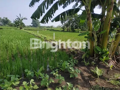 image BUTUH CEPAT !! TANAH PRANTI MENGANTI (1)