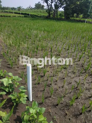 image BUTUH CEPAT !! TANAH PRANTI MENGANTI (2)