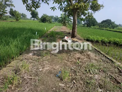 image BUTUH CEPAT !! TANAH PRANTI MENGANTI (3)