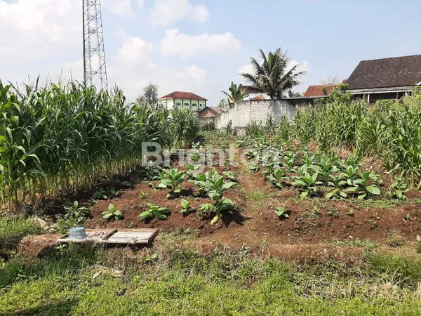 image TANAH STRATEGIS BISA AKSES KONTAINER 40 FEET KERTOSARI TEMANGGUNG  (2)