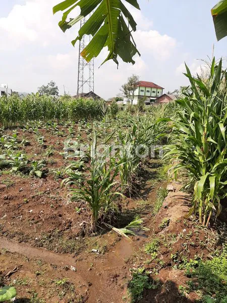 image TANAH STRATEGIS BISA AKSES KONTAINER 40 FEET KERTOSARI TEMANGGUNG  (4)