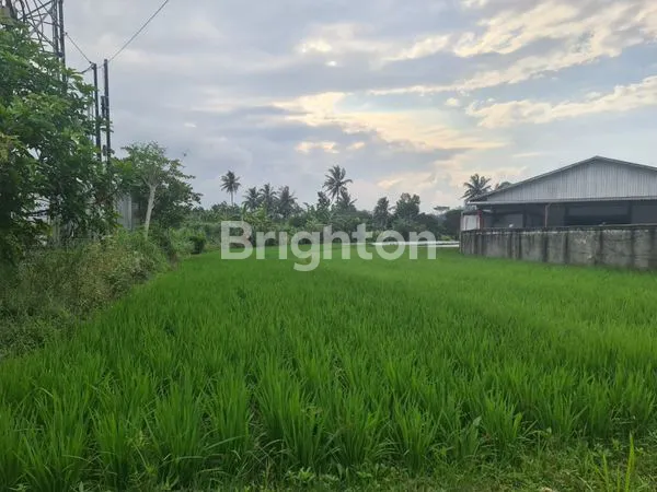 image TANAH STRATEGIS BISA AKSES KONTAINER 40 FEET KERTOSARI TEMANGGUNG  (5)