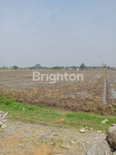 image LAHAN STRATEGIS SRAGEN 4.060M², SHM, ZONA KUNING (3)