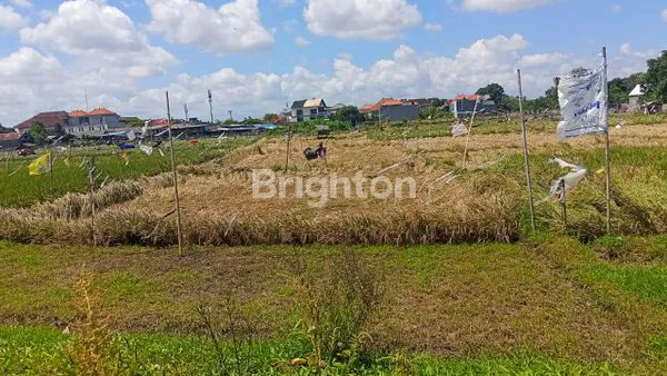 image TANAH LEASE 20 TAHUN STRATEGIS COCOK UNTUK HUNIAN & INVESTASI JANGKA PANJANG (3)