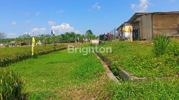 image TANAH LEASE 20 TAHUN STRATEGIS COCOK UNTUK HUNIAN & INVESTASI JANGKA PANJANG (4)