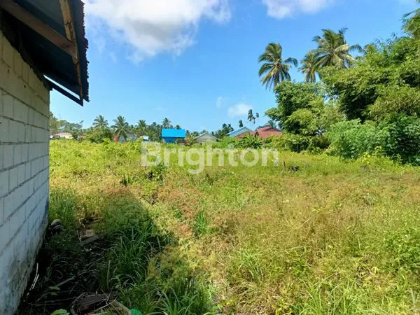 image TANAH COCOK UNTUK PERKEBUNAN DAN PERGUDANGAN (3)