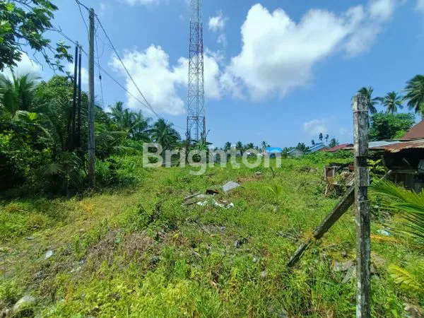 image TANAH COCOK UNTUK PERKEBUNAN DAN PERGUDANGAN (6)