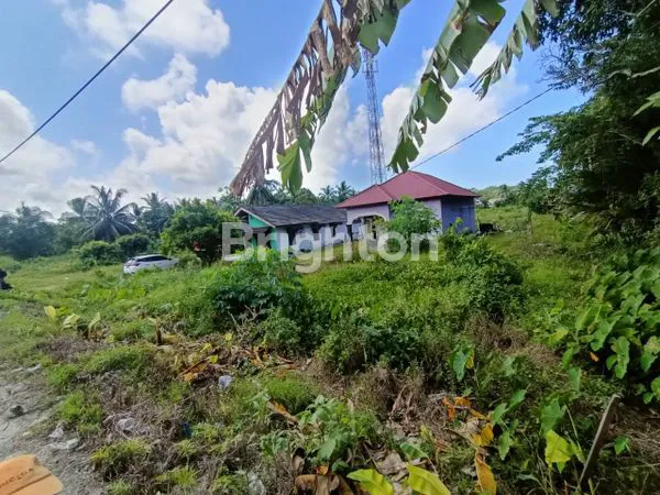 image TANAH COCOK UNTUK PERKEBUNAN DAN PERGUDANGAN (7)