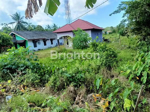 image TANAH COCOK UNTUK PERKEBUNAN DAN PERGUDANGAN (1)
