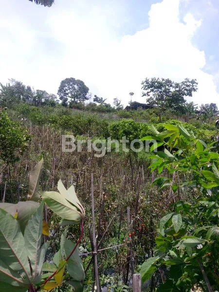 image TANAH PREMIUM 5.696M² COCOK RESORT CIKOLE (4)