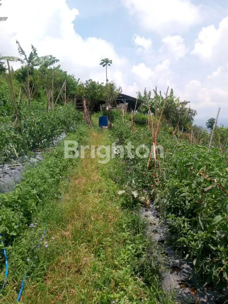 image TANAH PREMIUM 5.696M² COCOK RESORT CIKOLE (2)