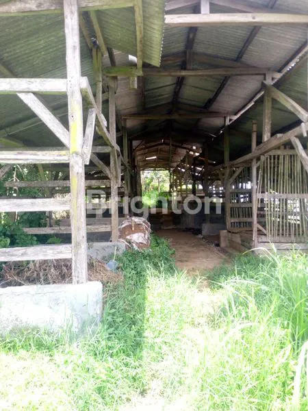 image TANAH PREMIUM 5.696M² COCOK RESORT CIKOLE (3)