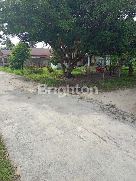 image TANAH KERAS, SIAP BANGUN JL KAPAU SARI BUKIT BARISAN (3)