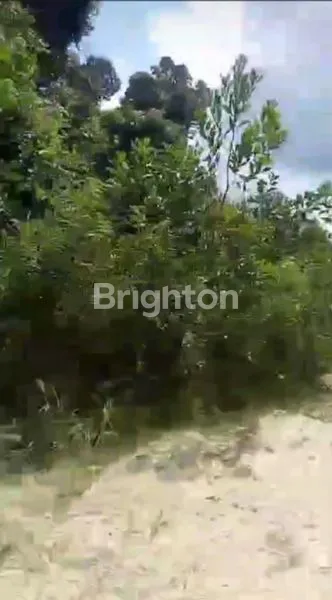 image TANAH LUAS 3.500 HA DI PERANAP (4)