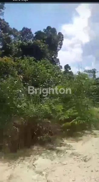 image TANAH LUAS 3.500 HA DI PERANAP (3)