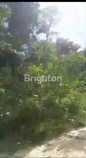 image TANAH LUAS 3.500 HA DI PERANAP (5)