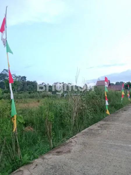 image TANAH KAVLINGAN ALAMANDA  (3)