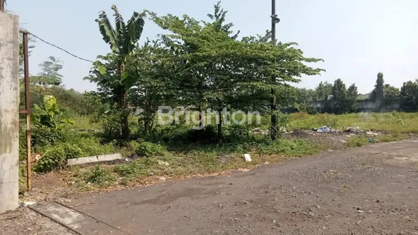 image TANAH & BANGUNAN DI LUMAJANG JAWA TIMUR COCOK UNTUK GUDANG, PABRIK, LAHAN PARKIR, DLL (7)