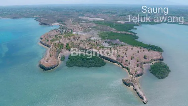 image TANAH 15 HEKTAR, LOMBOK TIMUR (1)