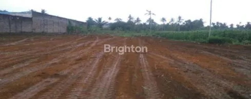 image TANAH DELI SERDANG (1)