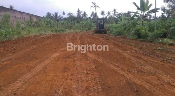 image TANAH DELI SERDANG (5)