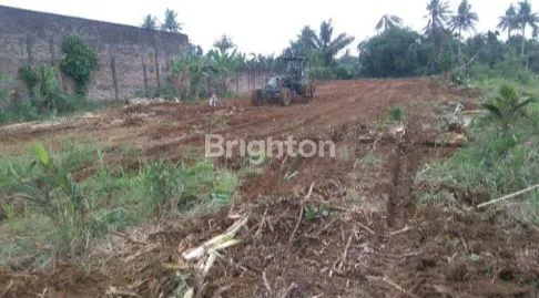 image TANAH DELI SERDANG (2)