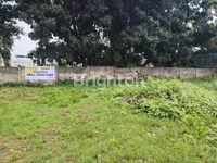 WhatsApp Image 2025 10 24 at 11.59.58 2