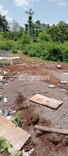 image TANAH SIAP BANGUN COCOK UNTUK VILLA LOKASI PECATU (7)