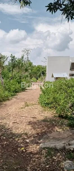 image TANAH SIAP BANGUN ZONA PINK COCOK UNTUK VILLA PECATU (4)
