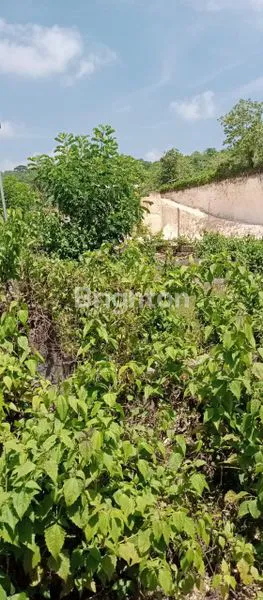 image TANAH SIAP BANGUN ZONA PINK COCOK UNTUK VILLA PECATU (8)