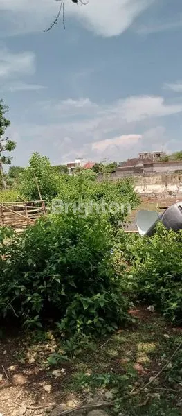 image TANAH SIAP BANGUN ZONA PINK COCOK UNTUK VILLA PECATU (2)