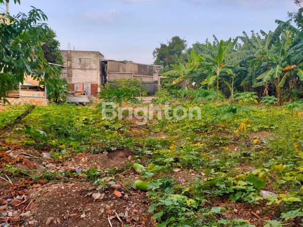 image KAVLING STRATEGIS 1.725M² DEKAT TOL & PASAR (3)