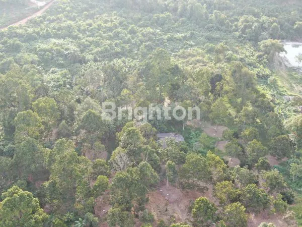 image INVESTASI TANAH SHM 25.000M² TANJUNG PINANG (3)