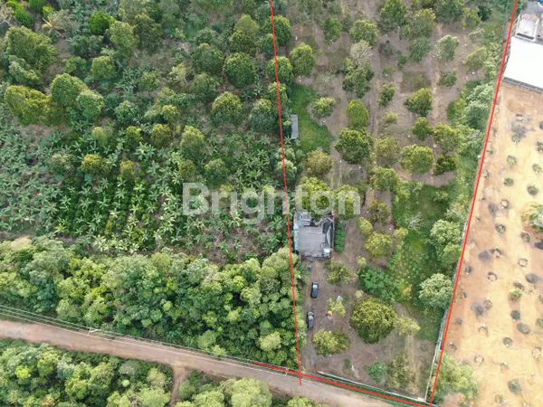 image INVESTASI TANAH SHM 25.000M² TANJUNG PINANG (4)