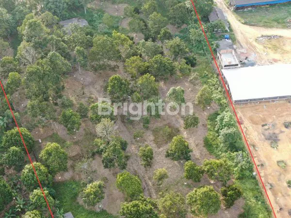 image INVESTASI TANAH SHM 25.000M² TANJUNG PINANG (7)