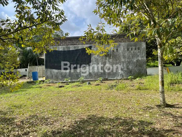 image INVESTASI TANAH SHM 25.000M² TANJUNG PINANG (5)