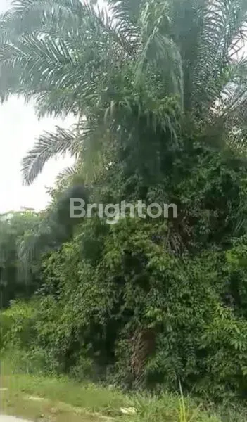 image LAHAN KOSONG SIAP BANGUN! (2)