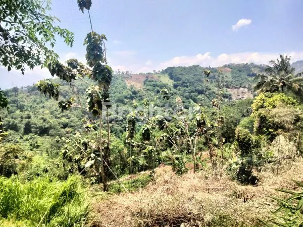 image INVESTASI EMAS DI TANAH SUBUR PANANJUNG CANGKUANG - BANDUNG SELATAN (6)