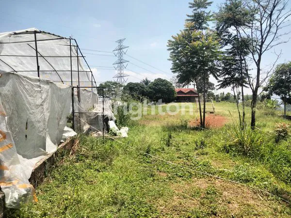 INVESTASI EMAS DI TANAH SUBUR PANANJUNG CANGKUANG - BANDUNG SELATAN