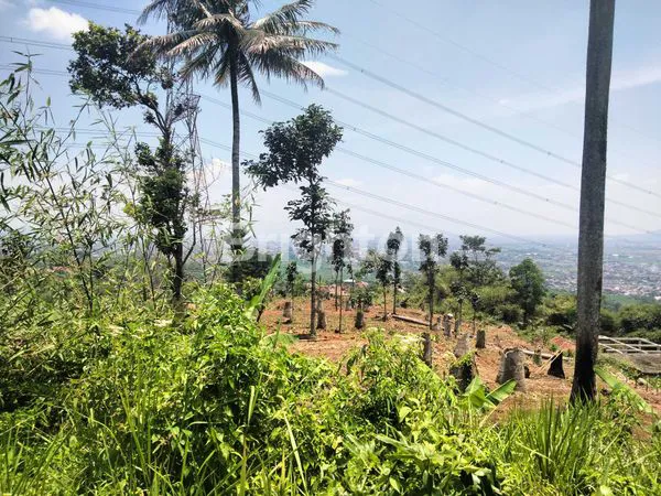 image INVESTASI EMAS DI TANAH SUBUR PANANJUNG CANGKUANG - BANDUNG SELATAN (7)