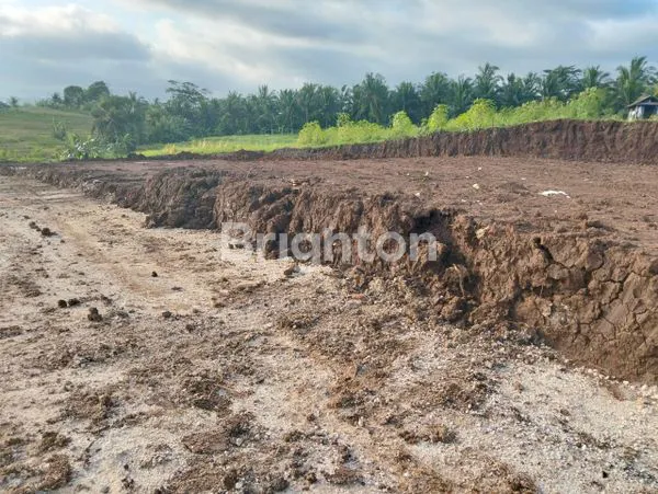 image TANAH BEREMBENG BAJERA BLOK K-L (4)