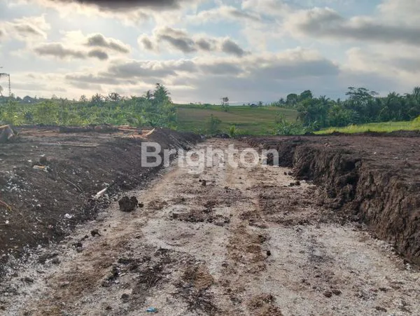 image TANAH BEREMBENG BAJERA BLOK K-L (2)