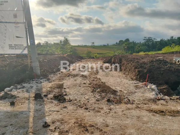 image TANAH BEREMBENG BAJERA BLOK M (4)